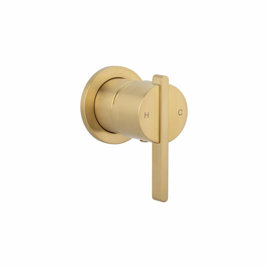 Aliro Accessible Minimal Mixer – Brushed Brass Accessible Showers