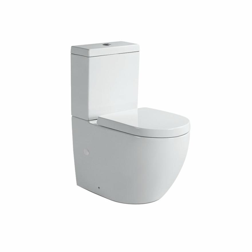 Asher Back-To-Wall Toilet Suite Toilet